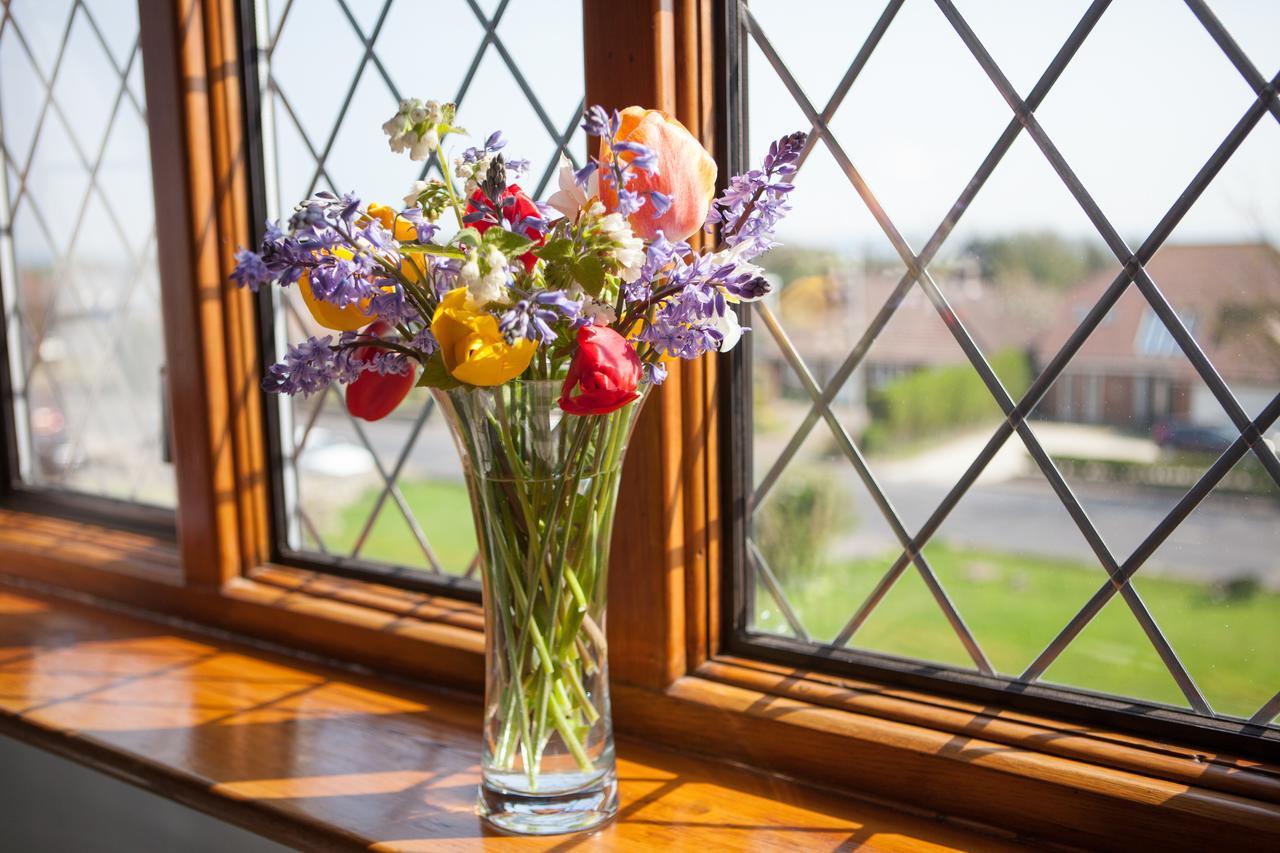 Fern Lodge Guesthouse Hythe  Eksteriør billede